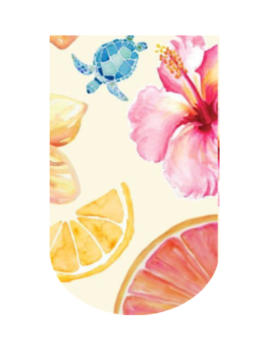 Magnetic Bookmark Collection – Mixed Styles